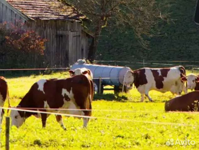 Электропастух для крс, овец, коз и др. в наличии