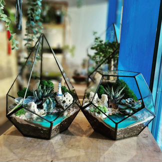 Флорариумы (свой шоу рум)