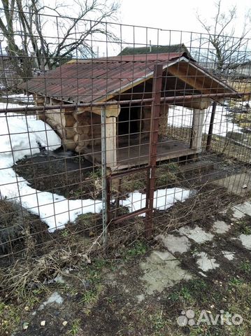 Конура для собаки