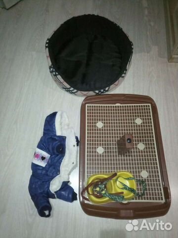 Для собак, Йорк куртка, лежанка