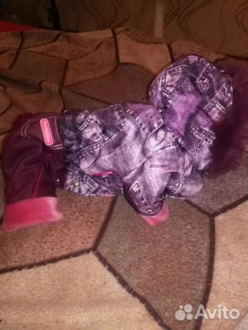 Одежда для маленьких собак