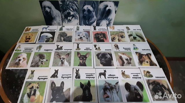 Открытки Собачки СССР 1969 и 1991 годы