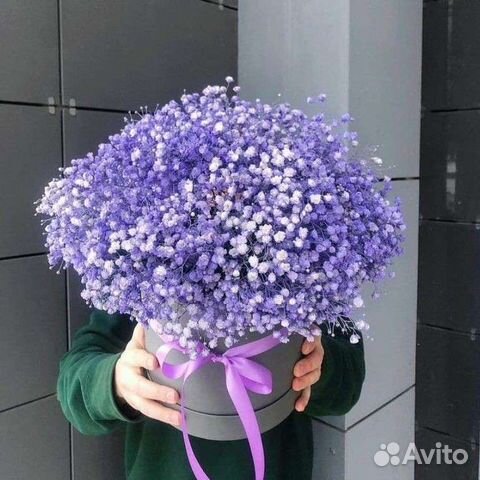 Букет цветов гипсофила, гипсофила в коробке