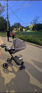 Коляска stokke xplory v5