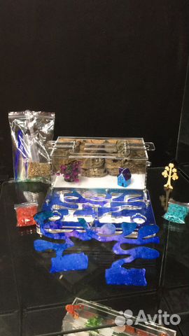 Муравьиная ферма полный комплект с муравьями