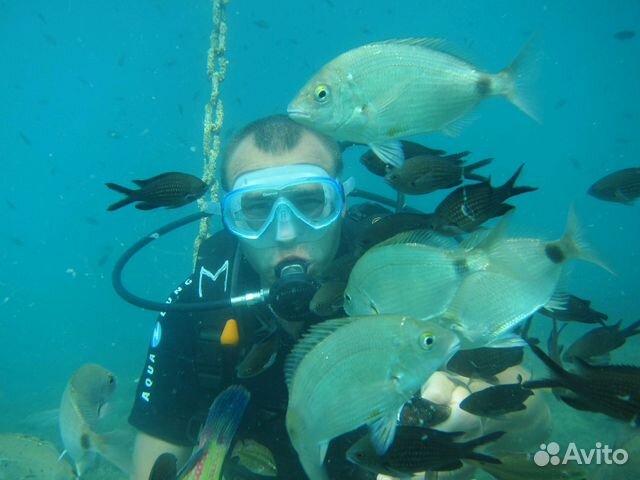 Дайвинг на день рождения, дайвинг экскурсиии