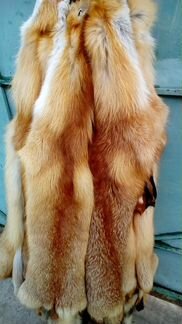 Шкуры лисы