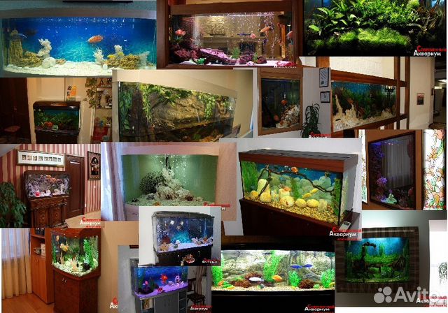 Обслуживание аквариумов