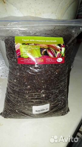 Грунт для хищных растений