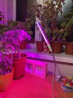 Фито лампа для растений