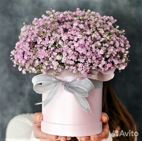 Цветы гипсофила купить новосибирск дешевые цветы спб с доставкой