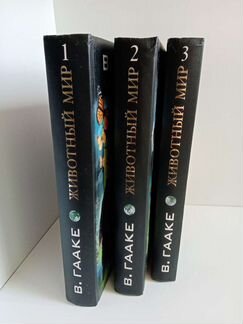 Энциклопедия 