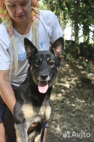 Тоскует без родителей в приюте