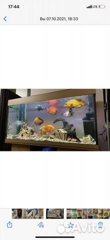 Фильтр tetra компрессор sera оборудование