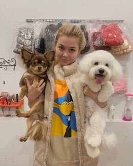 Груминг. Стрижка животных