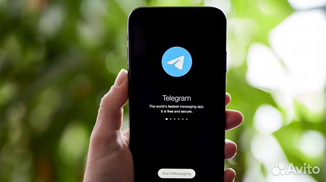 Создание чат бота telegram обучение