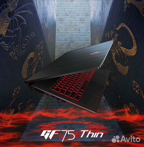 Gtx1650ti + 17.3”MSI GF75 thin