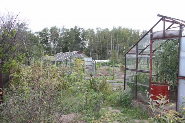 Снт саяны. Железногорск улица зеленая.