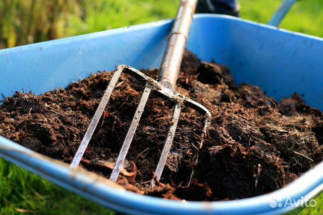 Навоз (в мешках по 50л)