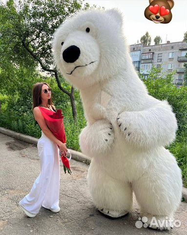 Белый Мишка Умка, Аниматор Панда