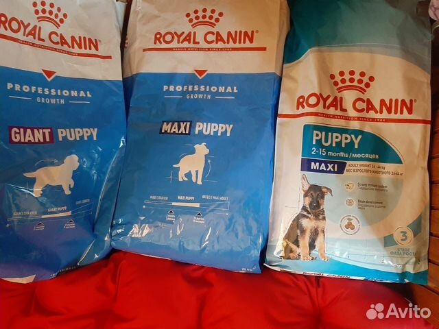 Корм Роял канин для собак