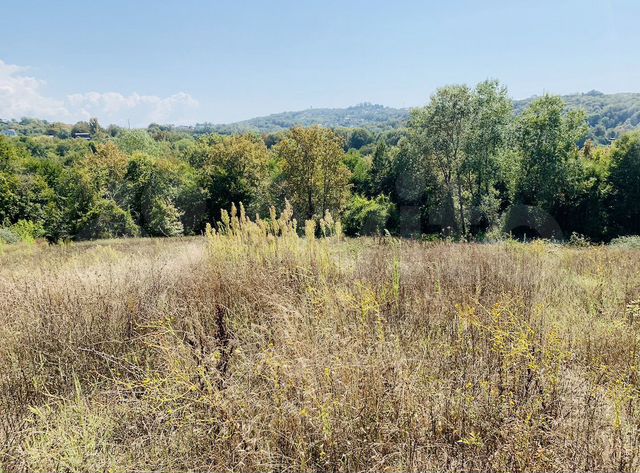 Участок 87,8 сот. (СНТ, ДНП)