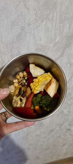 Передержка птиц, попугаев, грызунов. цао