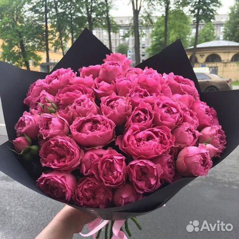 Купить цветы авито белгород самый большой магазин мягких игрушек в москве