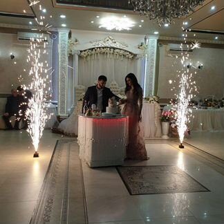 Ведущая Диджей Живая Музыка Фото Видео