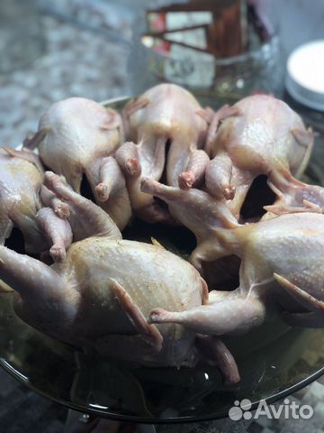 Мясо Перепелов