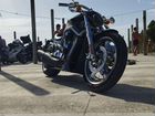 Harley Davidson v rod объявление продам