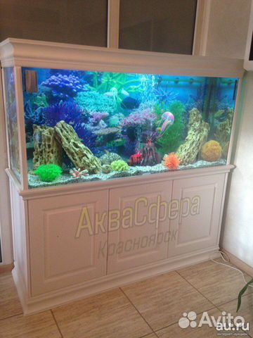 Аквариумы, готовые и на заказ, любые размеры