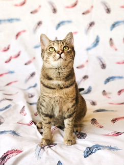 Флора в самые добрые ручки