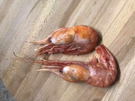 Креветка гребенчататая крупная XL