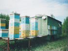 Павильон для пчёл с пасечным инвентарём