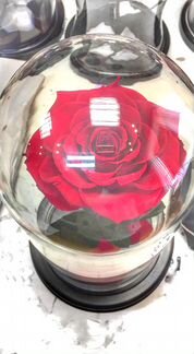 Роза в колбе