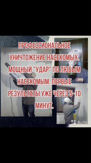 Избавим от насекомых(клопов,блох,тараканов) грызун