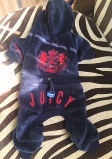 Костюм для собак