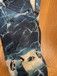 Molo Frozen Ocean 98