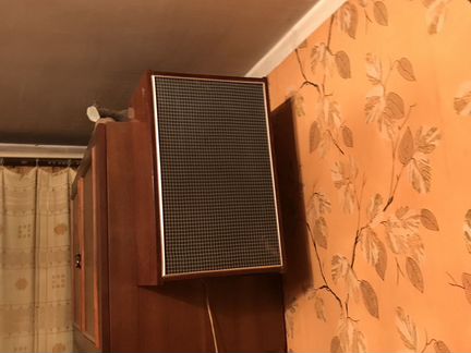 Акустической система 10 мас-1 М