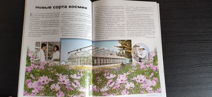 Журнал 
