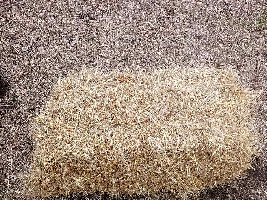 Корм из соломы с отрубями 5. Солома для животных. Straw_animals.