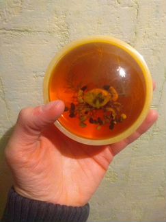 Шкатулка СССР