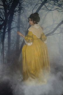 Фотофон с фотопечатью 4,5*2,4 м