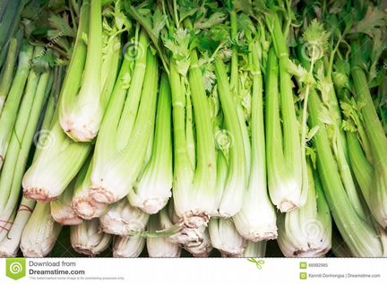 Продам себлявой сельдирей
