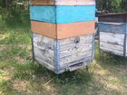 Пчелосемьи с ульями объявление продам