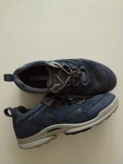 Ecco biom