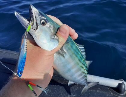 Пилькеры 20гр+ и Стримеры для Пеламиды и не только