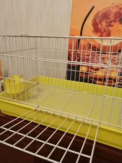 Клетка для морской свинки