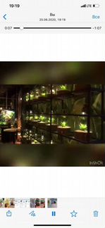 Декоративные светильники -Кактусы